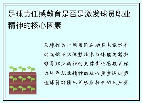 足球责任感教育是否是激发球员职业精神的核心因素